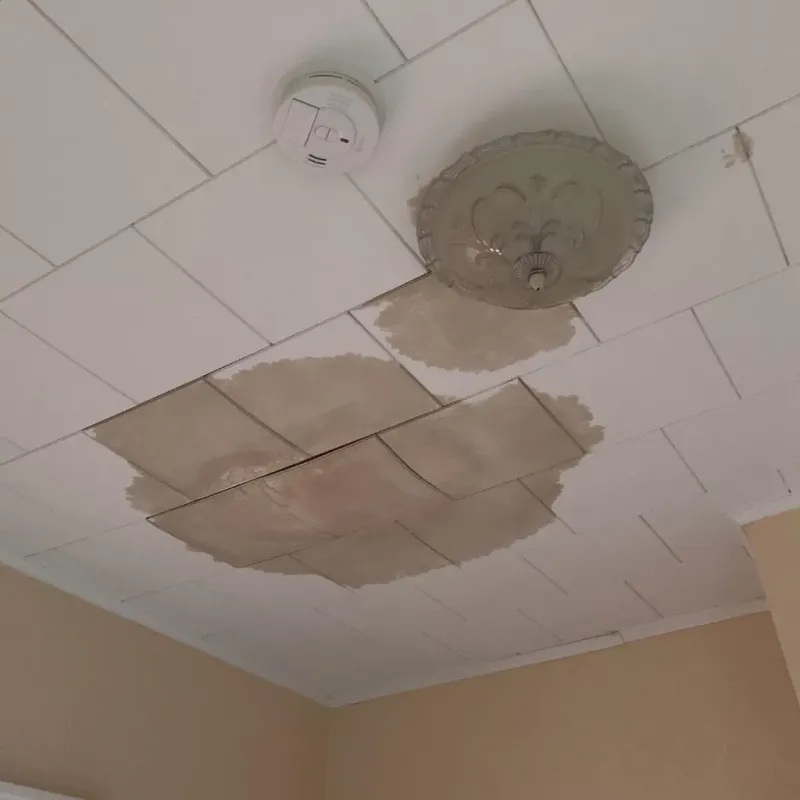 Ceiling Water Damage Repair in Hettinger, ND
