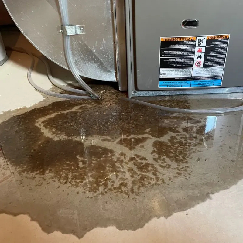 Pipe Burst and Leak Restoration in Hettinger, ND