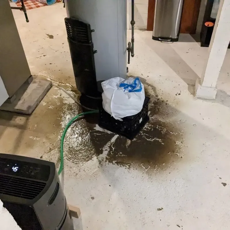 Sewage Backup Cleanup Service in Hettinger, ND